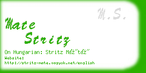 mate stritz business card